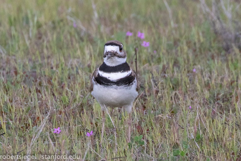 alum rock state park 2021